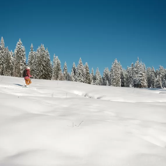 how to go snowshoeing with kids