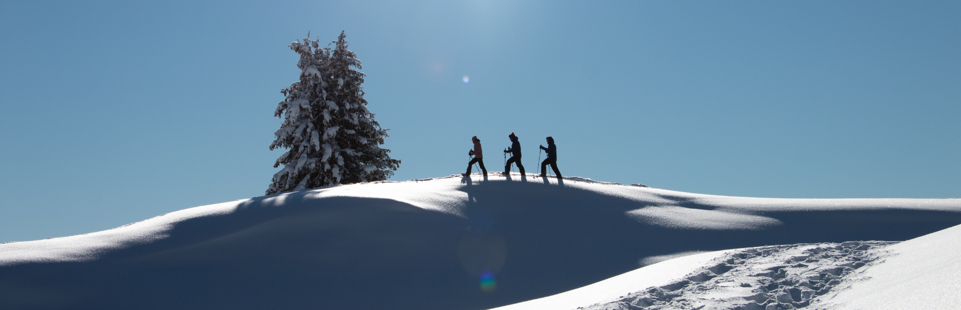 Snowshoes for men 