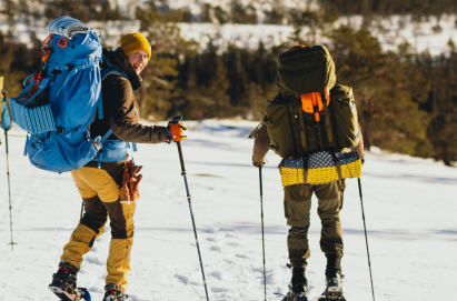 Do You Need Poles to Snowshoe?