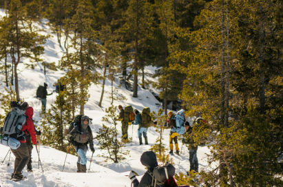 Snowshoe Trekking Poles: Features and Functions