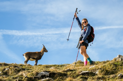 Do You Need Poles to Snowshoe?