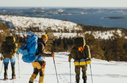 Do You Need Poles to Snowshoe?