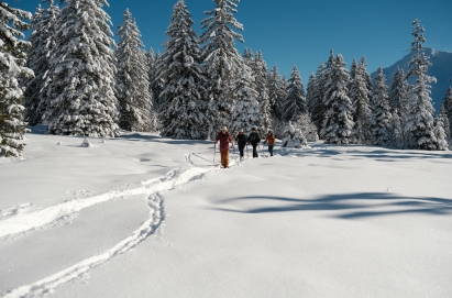 Gear Up: Essentials for a Snowy Expedition