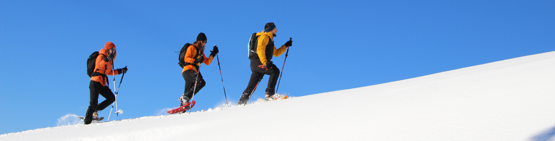 Has probado a pasear sobre raquetas de nieve? ¡Te enganchará