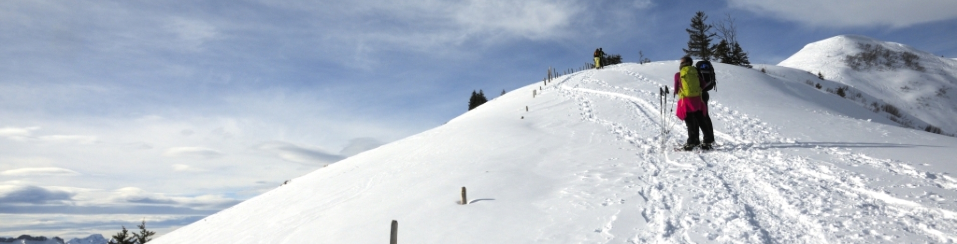 Snowshoe walk in Riedholz