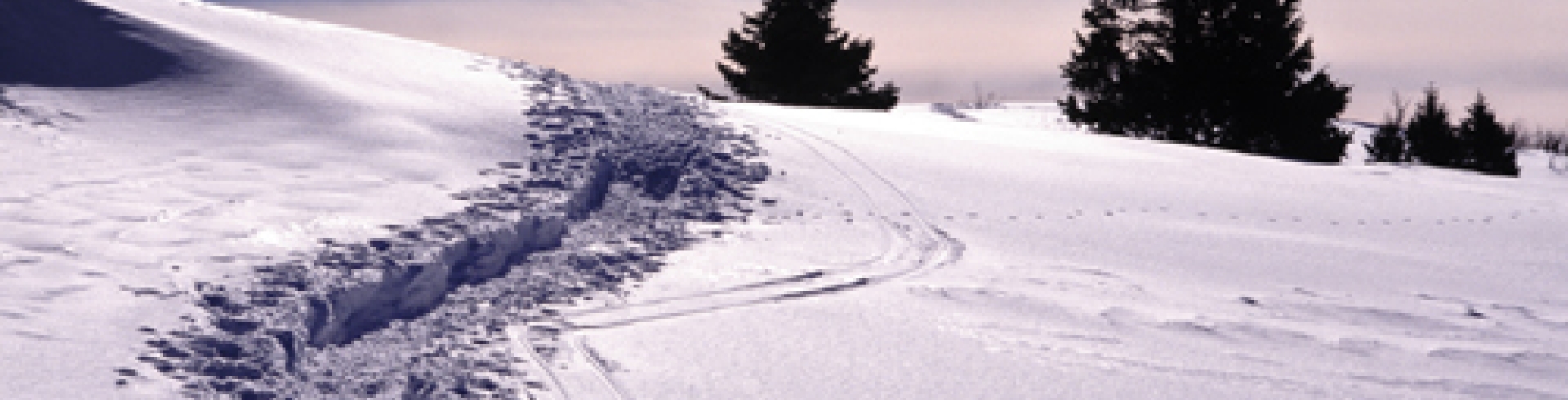 Balade en raquettes à neige à Merdassier