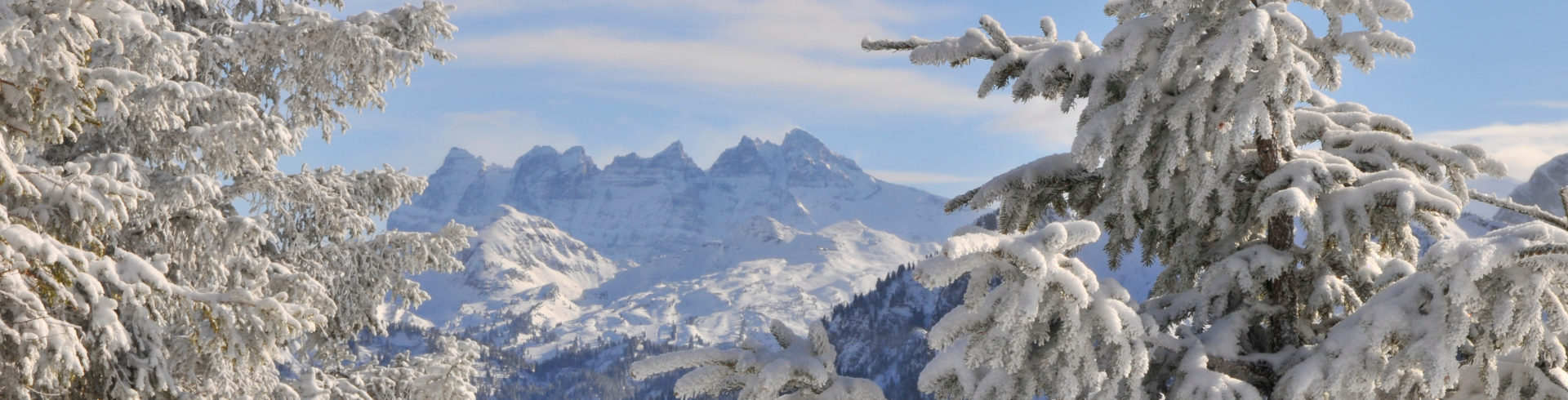 Photo Abondance