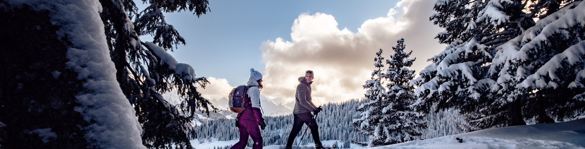 Comment choisir ses raquettes à neige ? (le guide complet) - Besoin  d'Aventure