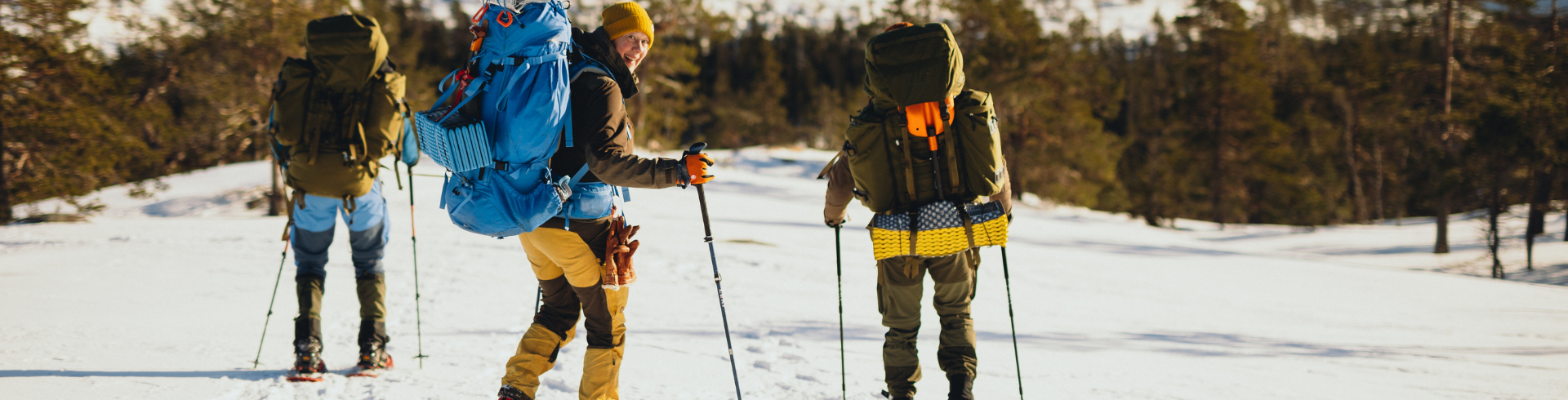 Do You Need Poles to Snowshoe?