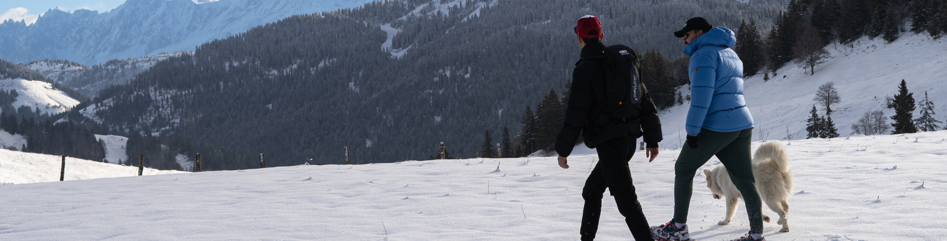 snowshoeing with dogs