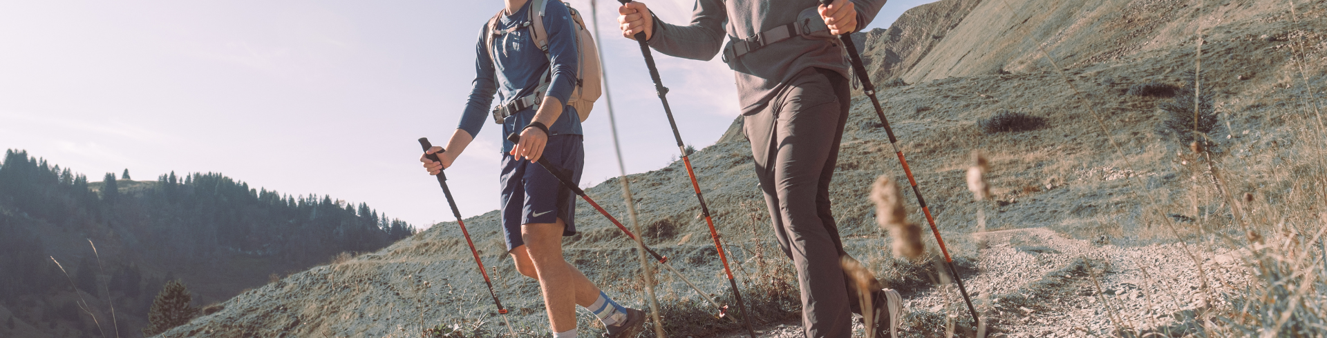 Fixed vs Adjustable Hiking Poles