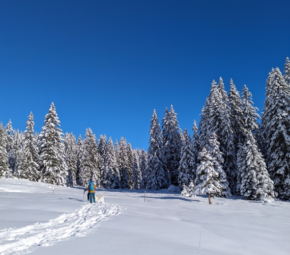 Easy Peasy: Snowshoes Designed for Kids