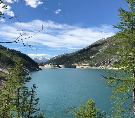 Les ruisseaux de la daille 