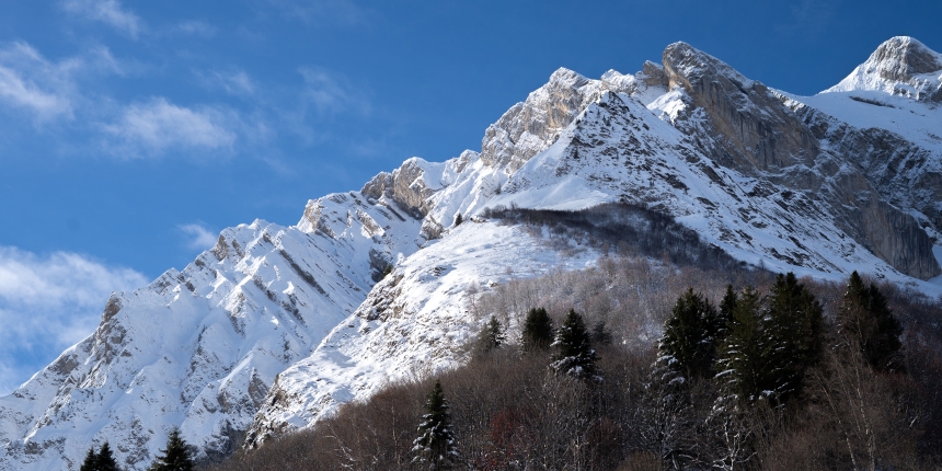 Top Picks: The Best Gloves for Snowshoeing