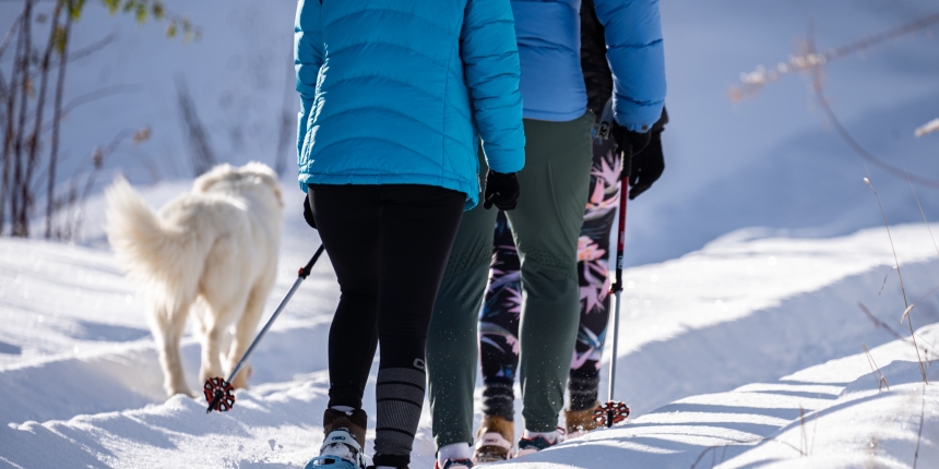 Paws in the Snow: Tips for a Happy Doggie Adventure
