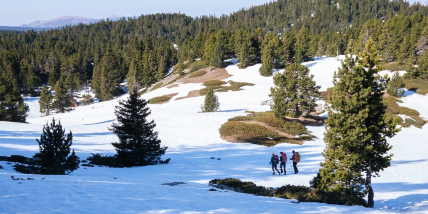 best gloves for snowshoeing