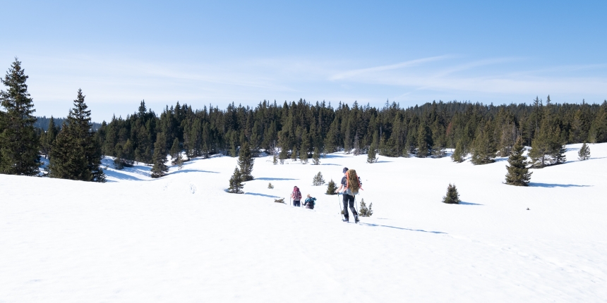 Tips and Tricks for a Seamless Snowshoe Adventure