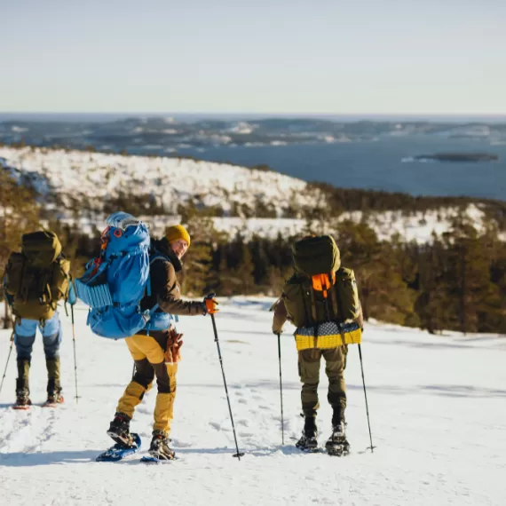 Do You Need Poles to Snowshoe?