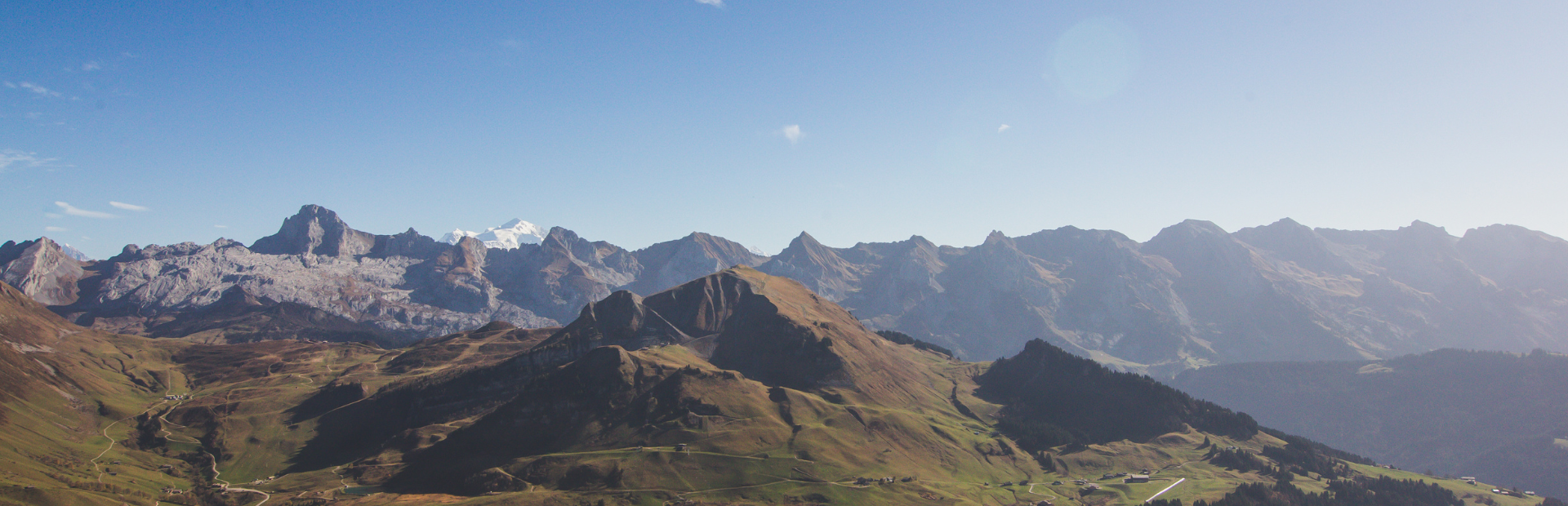 Header Home Page