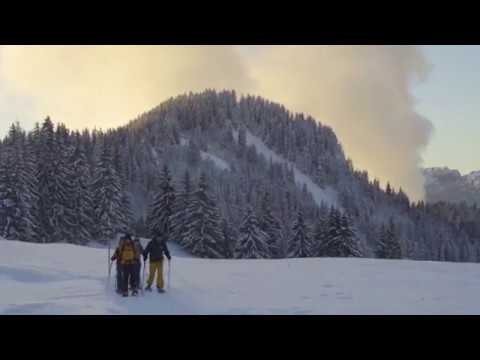 TSL - Made in the French Alps