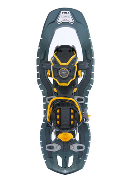 Symbioz Phoenix