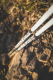 Trail C4 Shadow